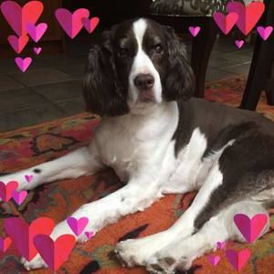 Meet your Posher, Glenys